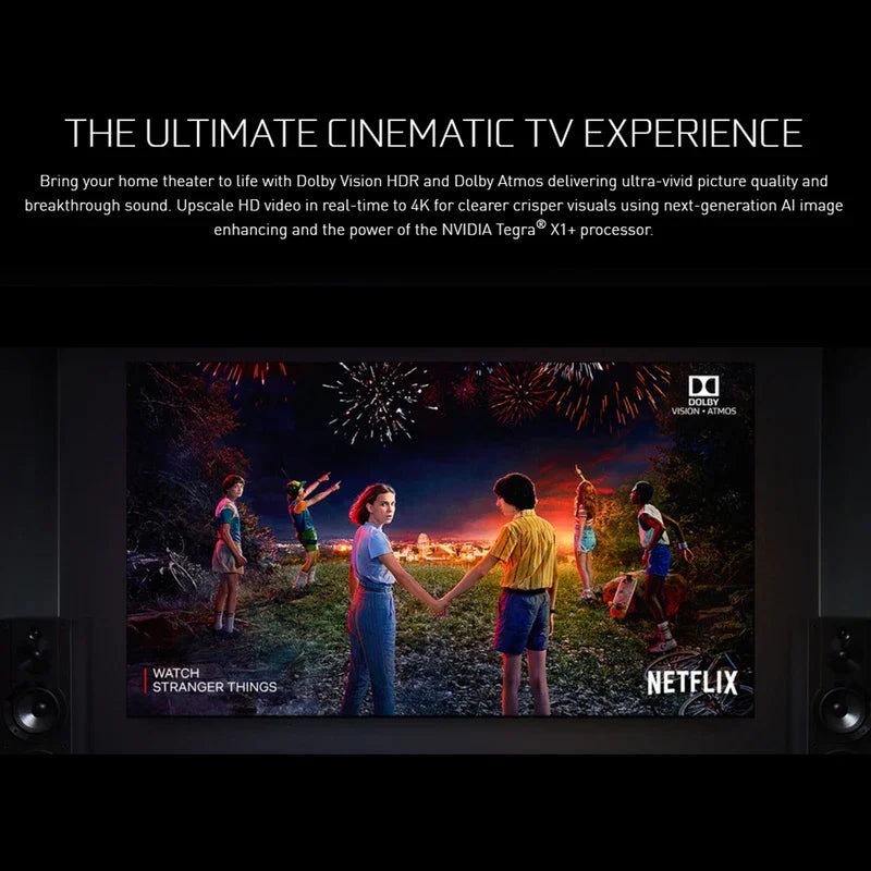 Go 2019 Shield TV Pro Video Game Consoles TV Box Android Consumer Electronics Games Accessories Console Device Prefix